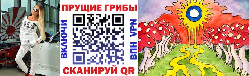 Псилоцибиновые грибы GOLDEN TEACHER Шумиха